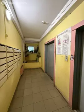 3-комнатная квартира: Нижний Новгород, улица Сергея Акимова, 51 (77 м)