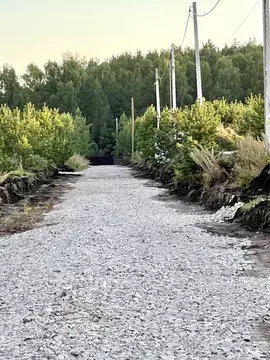 Участок в Свердловская область, Белоярский муниципальный округ, с. ...