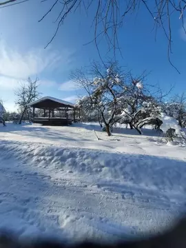Участок в Ленинградская область, Кировский район, Мгинское городское ...