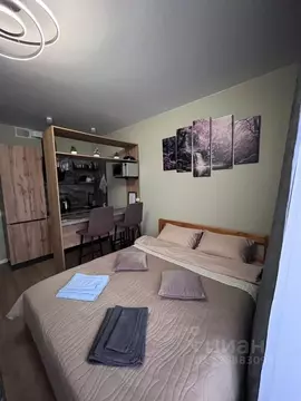 1-к кв. Москва Кольская ул., 8к1 (24.0 м)