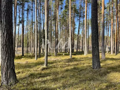 Участок в Ленинградская область, Приозерский район, Петровское с/пос, ...