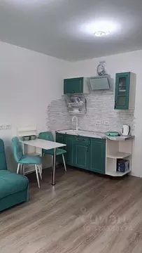 Студия Санкт-Петербург ул. Пахомовская, 14к1 (24.5 м)