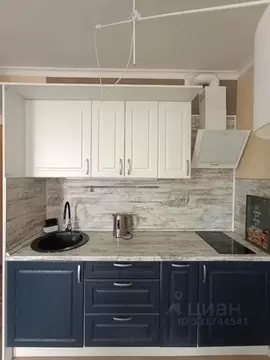 Студия Московская область, Красногорск ул. Липовой Рощи, 1к3 (25.0 м)
