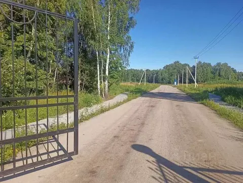 Участок в Рязанская область, Рыбновский муниципальный округ, ...
