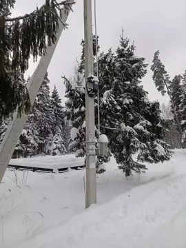 Участок в Московская область, Щелково городской округ, Борисовка кп  ...