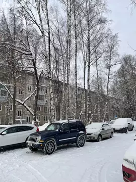 1-комнатная квартира: Пушкино, микрорайон Серебрянка, 4 (32.7 м)