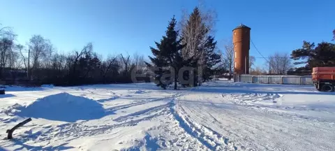 Участок в Амурская область, с. Тамбовка  (18.05 сот.)