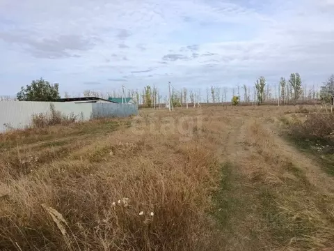 Участок в Белгородская область, Волоконовка рп ул. Курячего, 26 (15.0 ...