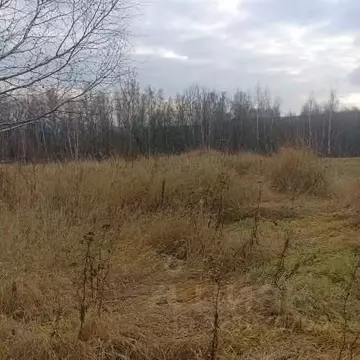 Участок в Московская область, Луховицы муниципальный округ, д. Берхино ...