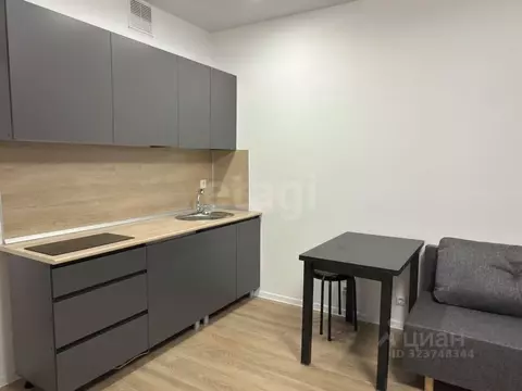 Студия Москва ул. Братьев Бромлей, 5к1 (24.0 м)