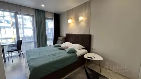 Студия Краснодарский край, Сочи ул. Ленина, 219А/1к1 (20.0 м)