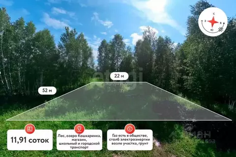 Участок в Тюменская область, Нижнетавдинский муниципальный округ, пос. ...