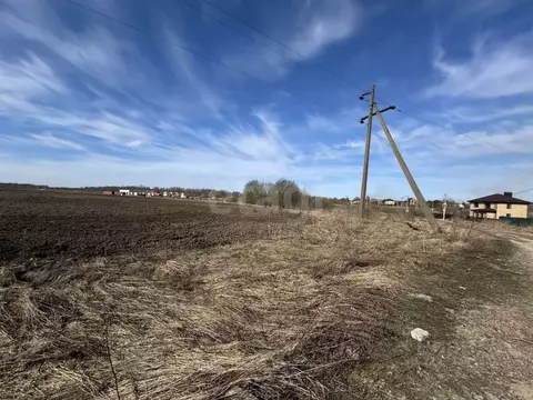 Участок в Смоленская область, Смоленск Рябиновая Поляна СТ,  (58.0 ...
