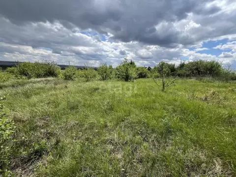 Участок в Воронежская область, Рамонский район, с. Русская Гвоздевка ...
