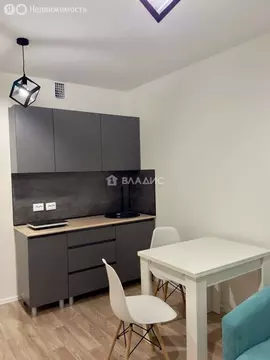 Квартира-студия: Санкт-Петербург, Муринская дорога, 27к3 (19.7 м)