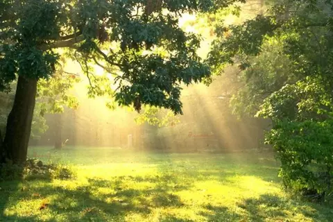Участок в Свердловская область, Сысертский муниципальный округ, д. ...