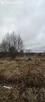 Участок в Московская область, Дмитровский муниципальный округ, КП ...