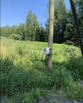 Участок в Ленинградская область, Выборг Сайменский мкр,  (12.0 сот.)