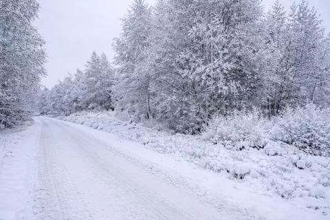 Участок в Московская область, Наро-Фоминский городской округ, д. ...
