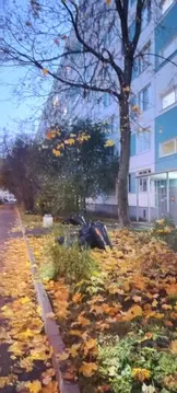 2-к кв. Санкт-Петербург Софийская ул., 42К2 (44.6 м)