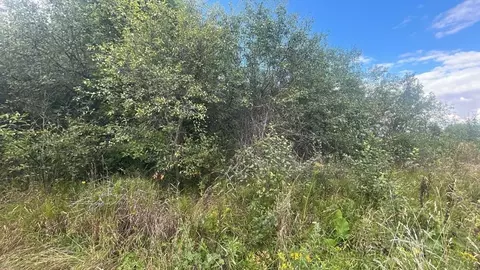 Участок в Московская область, Ступино городской округ, с. Старое  ...