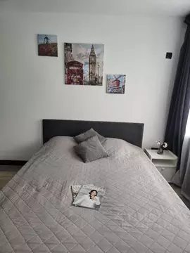 Студия Тюменская область, Тюмень ул. Мельникайте, 83 (24.0 м)