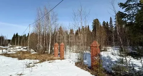 Участок в Ханты-Мансийский АО, Ханты-Мансийск Разведчик садоводческий ...