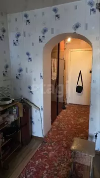 Студия Бурятия, Улан-Удэ Тобольская ул., 75 (19.4 м)