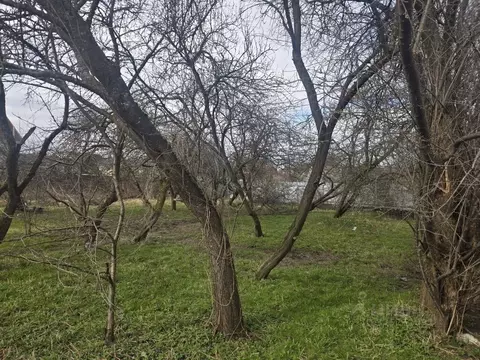 Участок в Калининградская область, Калининград Октябрьское СНТ, ул. ...