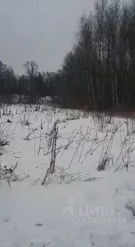 Участок в Московская область, Ступино городской округ, с. Березнецово  ...