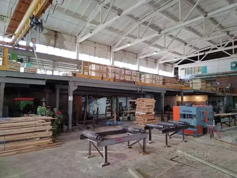 Производственное помещение в Санкт-Петербург, Санкт-Петербург, Колпино ...