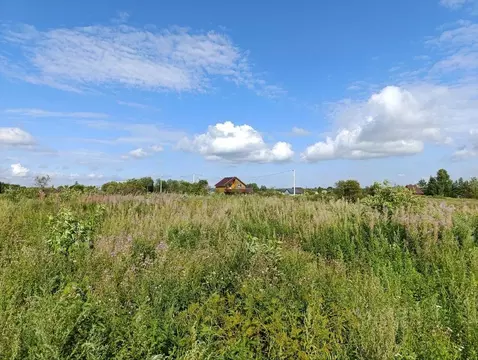 Участок в Новгородская область, Новгородский район, Трубичинское с/пос ...