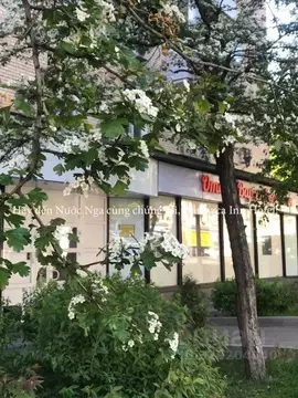 Комната Москва Варшавское ш., 13 (10.0 м)