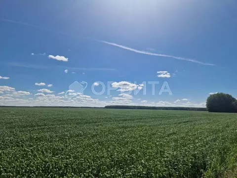 Участок в Тюменская область, Тюменский муниципальный округ, пос. ...