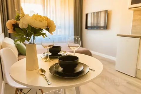 Студия Башкортостан, Уфа ул. Рудольфа Нуреева, 7 (25.0 м)