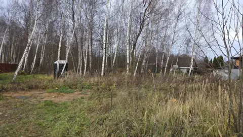 Участок в Московская область, Домодедово городской округ, д. Борисово  ...