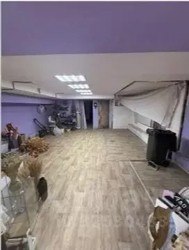 Помещение свободного назначения в Москва ул. Правды, 3/1 (100 м)