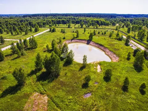 Участок в Рязанская область, Спасский район, Панинское с/пос, д. ...