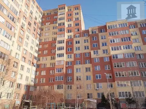 1-к кв. Калининградская область, Калининград ул. Генерала Челнокова, ...