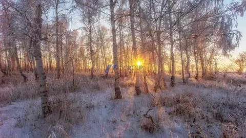 Участок в Ярославская область, Ярославский муниципальный округ, с. ...