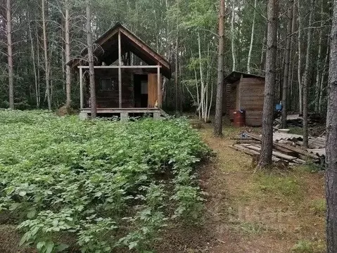 Участок в Иркутская область, Иркутский муниципальный округ, Минерал ...