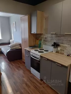 Студия Самарская область, Самара Шариковый пер., 4 (20.0 м)