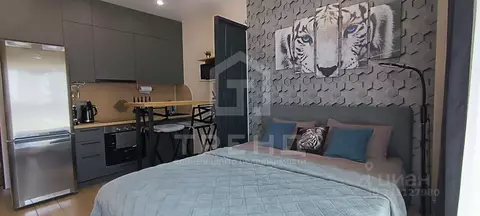 Студия Ленинградская область, Ломоносовский район, Аннинское городское ...