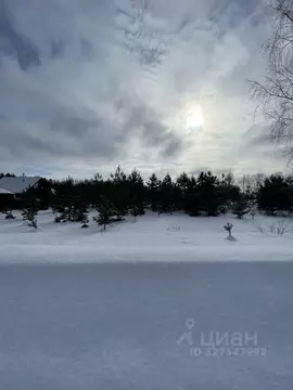 Участок в Ивановская область, Ивановский муниципальный округ, д. ...