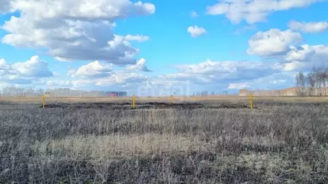 Участок в Тамбовская область, Тамбов ул. Имени Александра Смирнова, 26 ...