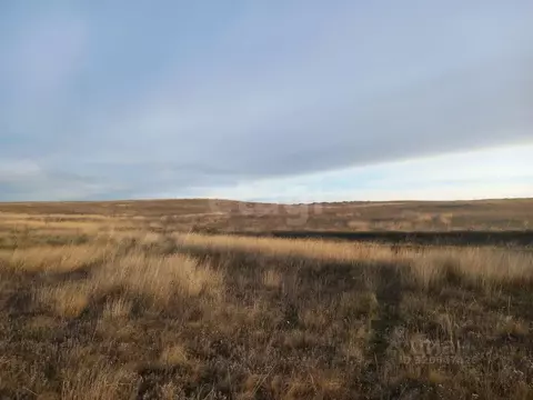 Участок в Крым, Ленинский район, Семисотское с/пос, с. Каменское ул. ...