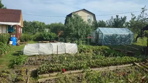 Дом в Ленинградская область, Волхов Труженик СНТ, ул. Смородная, 266 ...