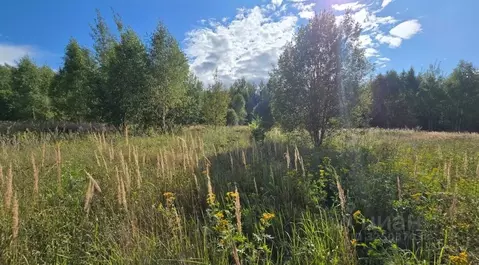 Участок в Московская область, Ступино городской округ, д. Дубнево  ...