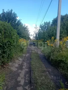 Участок в Брянская область, Брянский район, Добрунское с/пос, д. ...