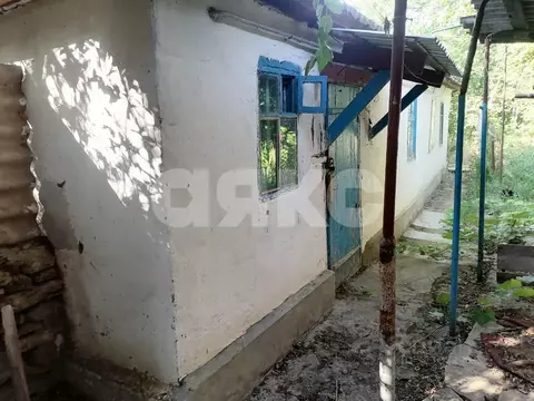 Дом в Ставропольский край, Петровский муниципальный округ, с. Донская ...